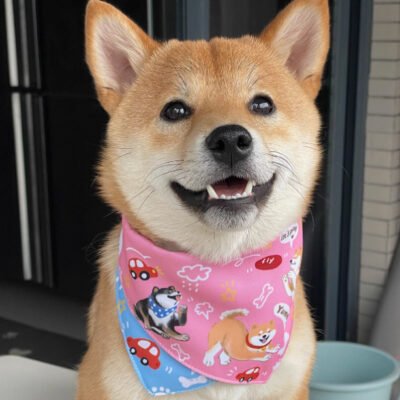 Shiba Inu Color Matching Triangular Binder Can Be Worn On Both Sides