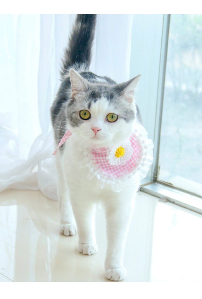 Fashion Voile Pet’s Saliva Towel - 8