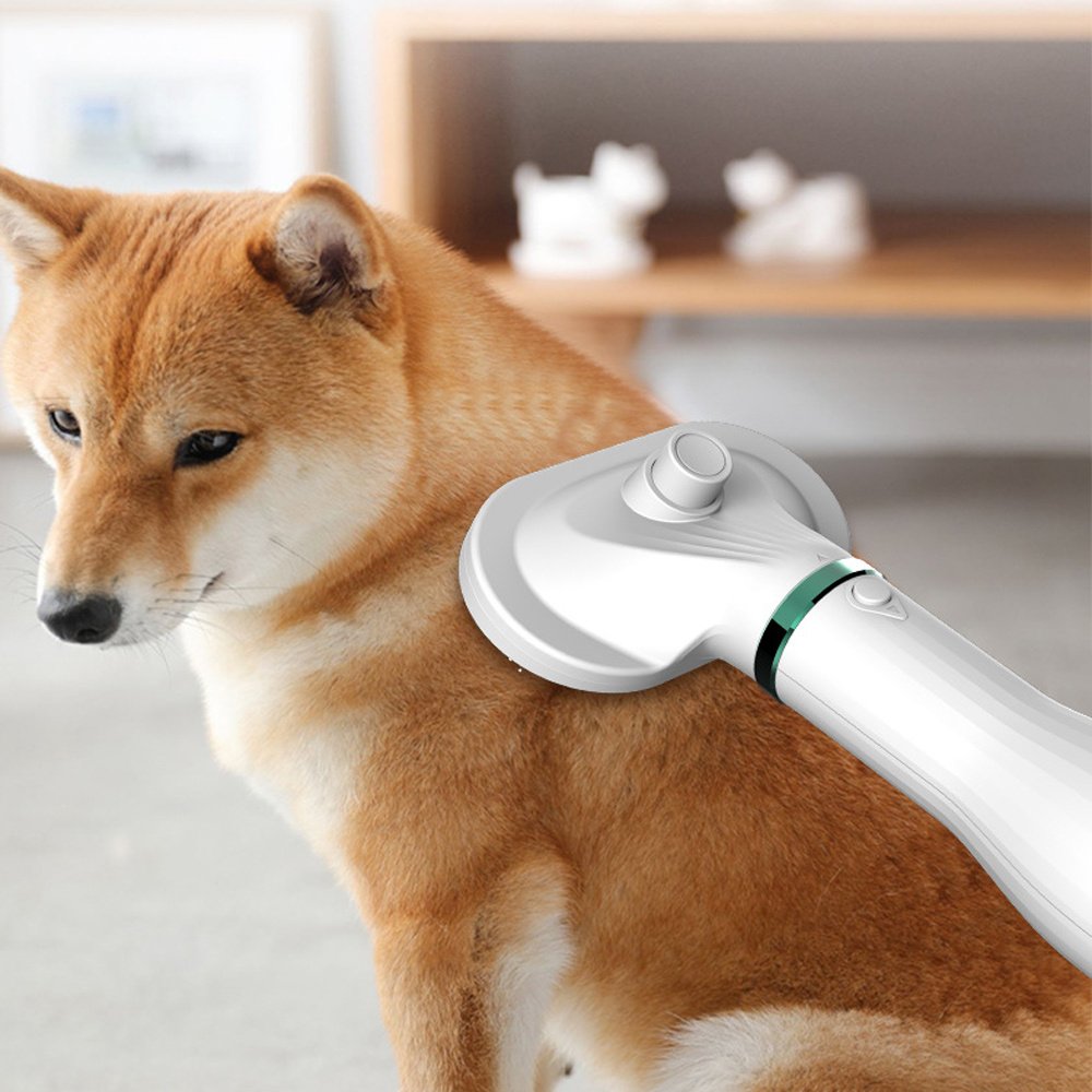 Pet Comb Hair Dryer - 7