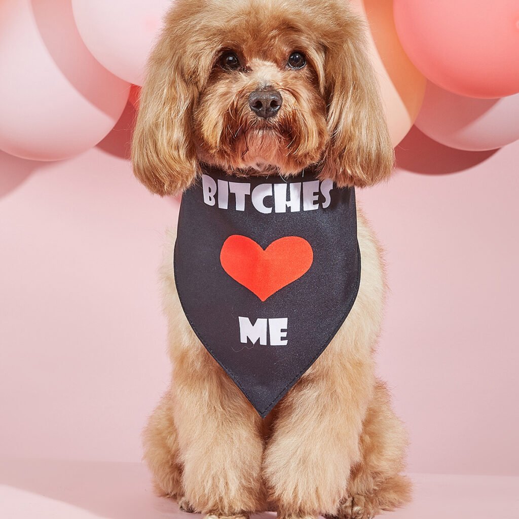 Pet Dog Printing Accessories Scarf Saliva Towel - 5