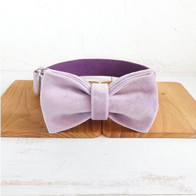 MUTTCO drawstring traction belt set - 8