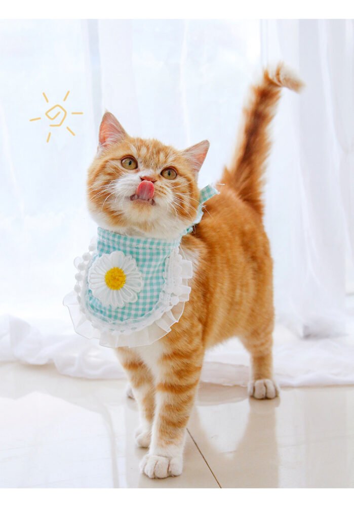 Fashion Voile Pet’s Saliva Towel - 5