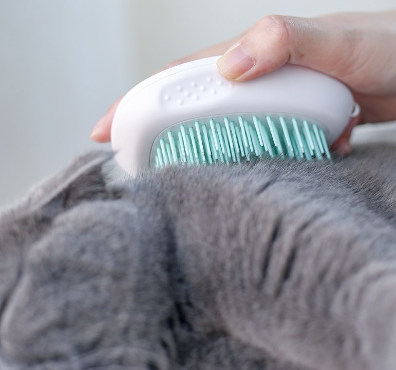 Brush Brush Cat Hair White Pet - 9