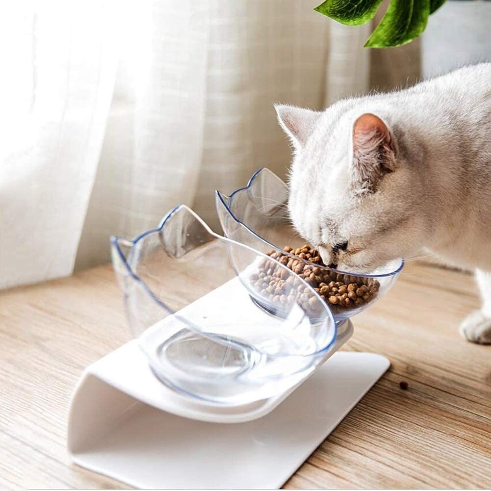 Cat Elevated Feeder Stand With Transparent Bowl - 2