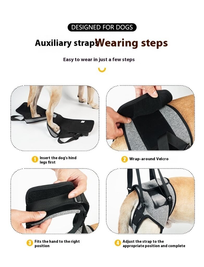 Elderly Dog Outing Back-style Auxiliary Strap - 4
