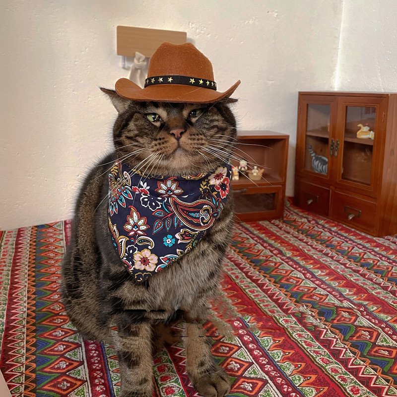 Cat Decorative Hat Pet Headwear Western - 8