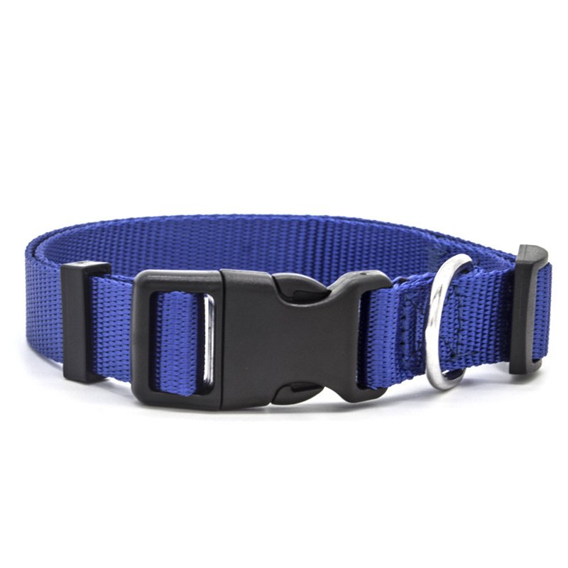 New Pet Collar - 9