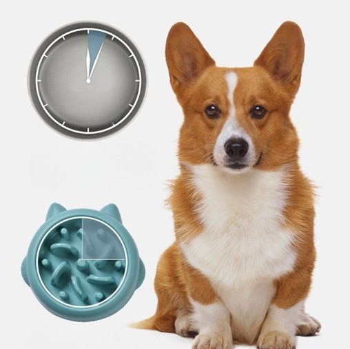 Pet Dog Cat Slow Feeder Bowls Anti Choking Slow Feeder Dish Bowl Home Dog Eating Plate Anti Gulping Bowl Supplies - 9