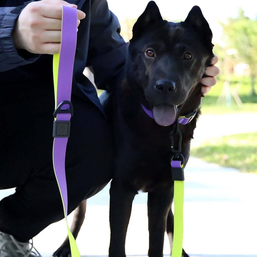 Honeycomb Embossed Dual-Color Pet Leash Set Is Stylish And Fashionable. The Embossed Surface Enhances The Leash’s Grip, Preventing Slippage When Held. The Product Is Waterproof, Wear-resistant, Odor-r