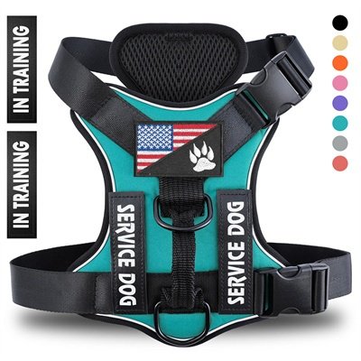 Reflective Breathable Solid Color Polyester Dog Strap - 10