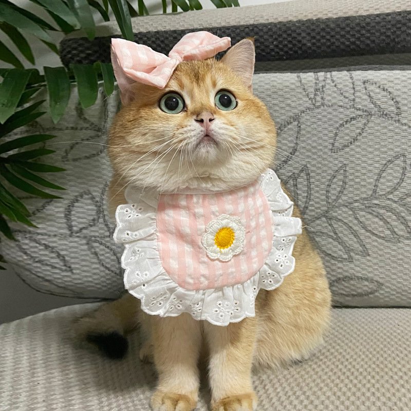 Cat Lace Suit Saliva Towel Princess Style Scarf Bib Decoration - 9