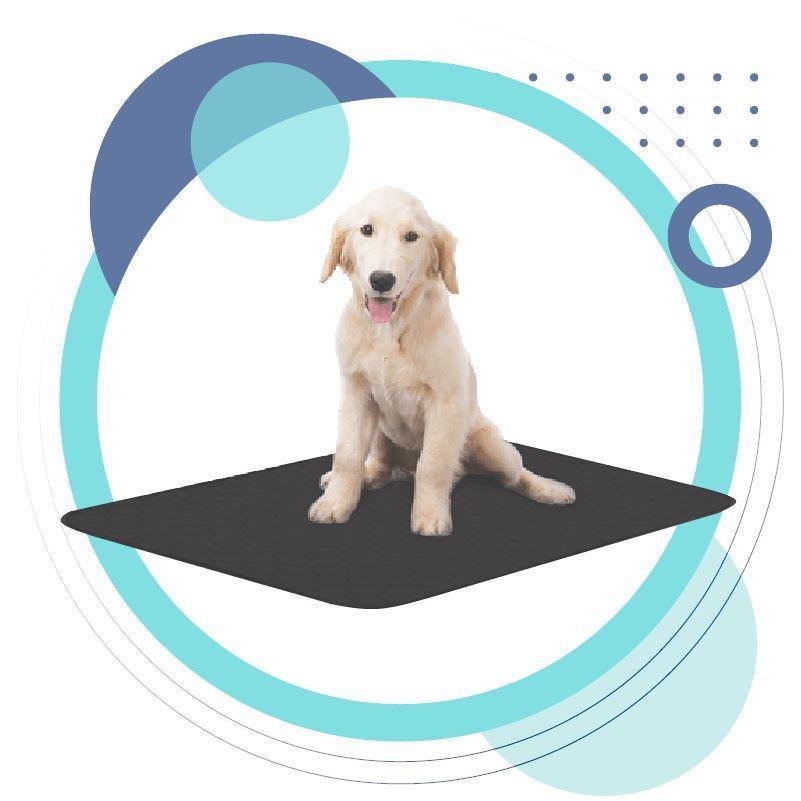 Pets Earthing Mat – Cats & Dogs - 3