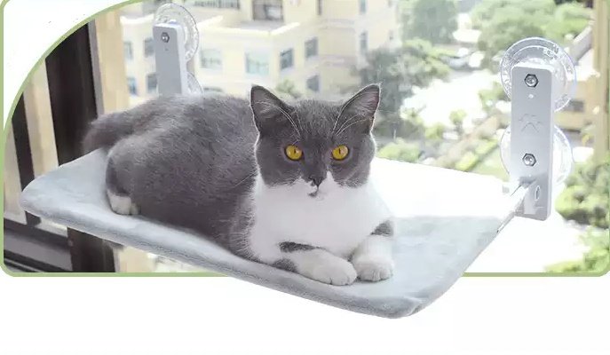 Cat Suction Cup Window Glass Hammock Pet Cat Pets Products - 5