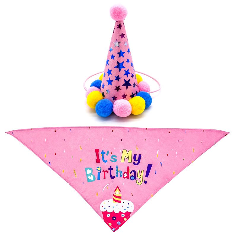 Pet Dog And Cat First Birthday Party Triangle - 4