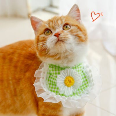 Fashion Voile Pet’s Saliva Towel