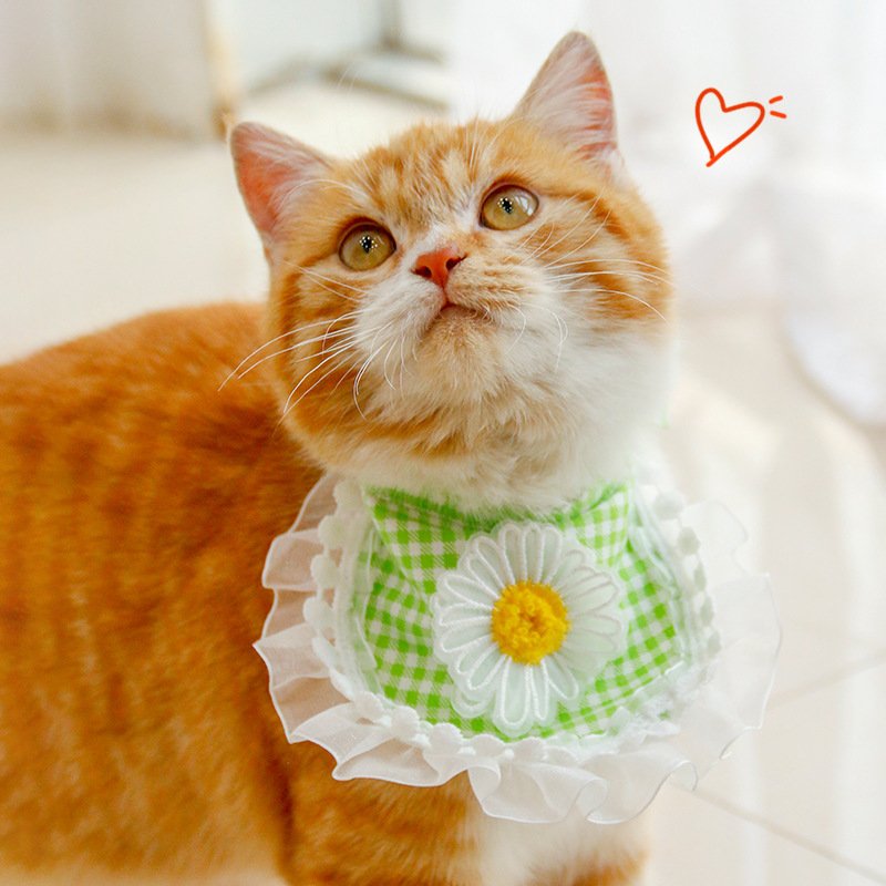 Fashion Voile Pet’s Saliva Towel