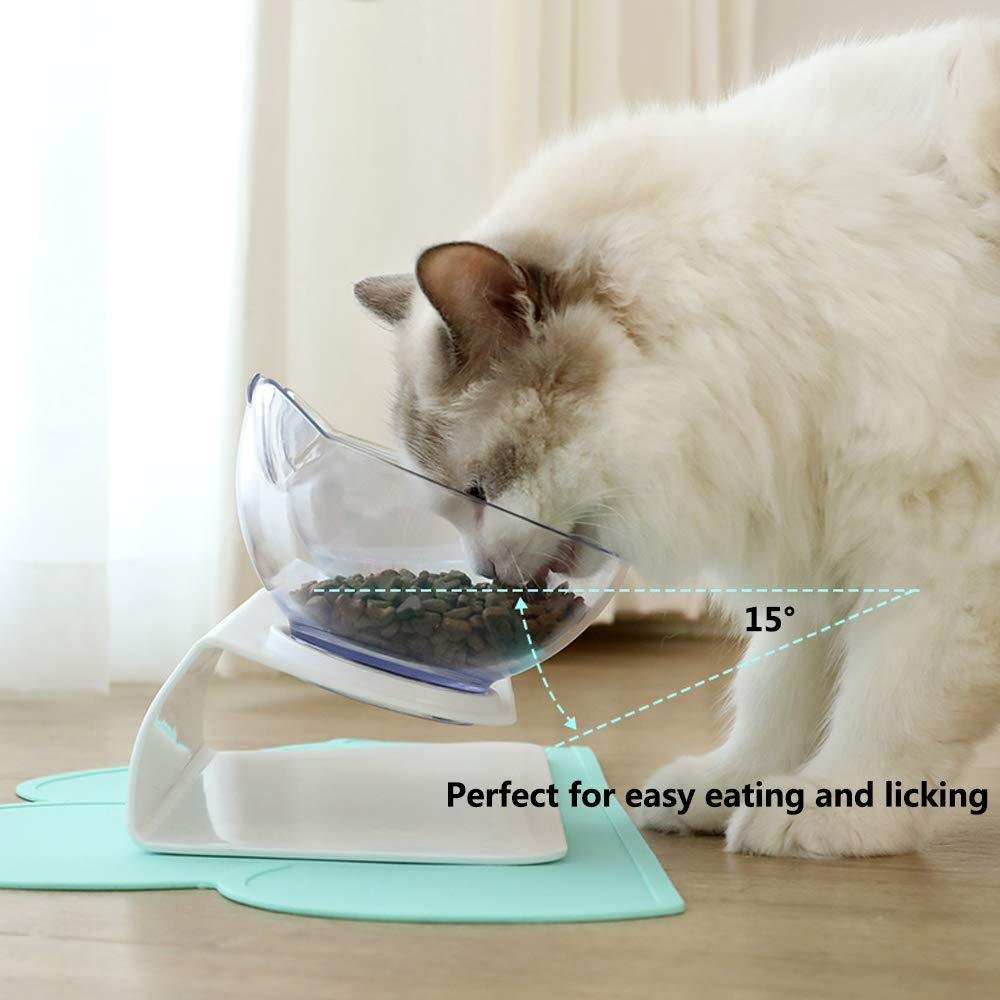 Cat Elevated Feeder Stand With Transparent Bowl - 6