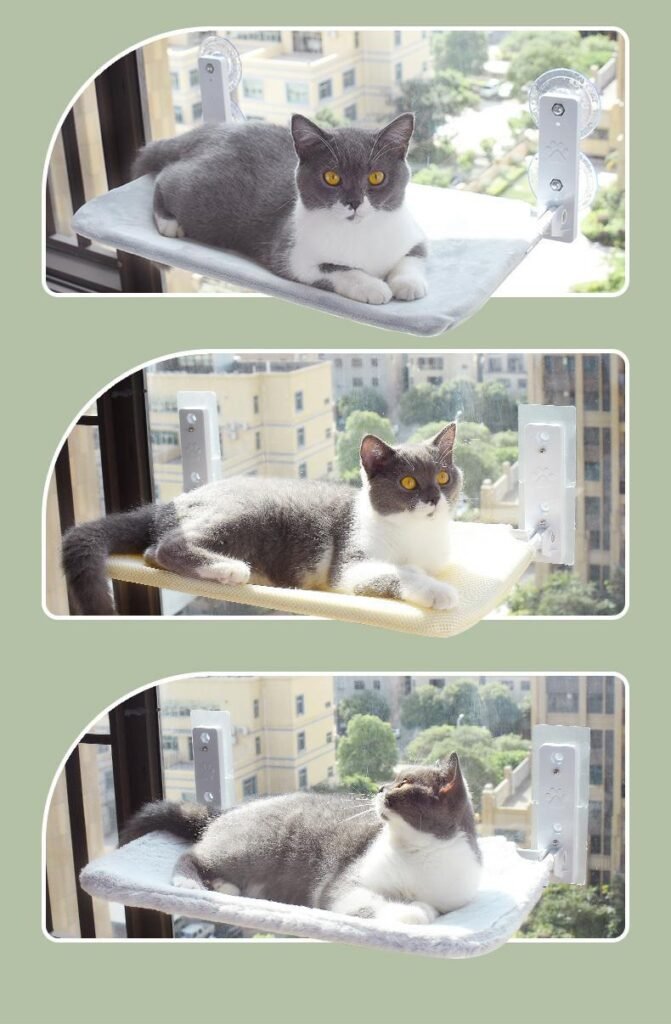 Cat Suction Cup Window Glass Hammock Pet Cat Pets Products - 6
