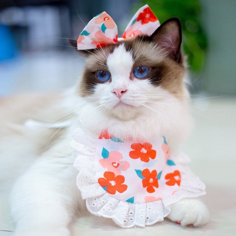 Cat Lace Suit Saliva Towel Princess Style Scarf Bib Decoration - 10
