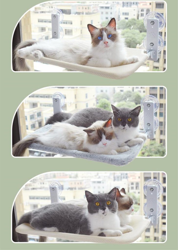 Cat Suction Cup Window Glass Hammock Pet Cat Pets Products - 8