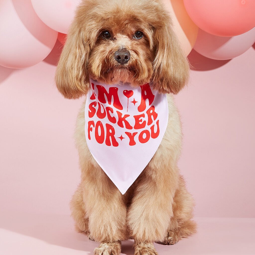 Pet Dog Printing Accessories Scarf Saliva Towel - 6
