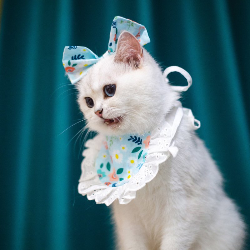 Cat Lace Suit Saliva Towel Princess Style Scarf Bib Decoration - 5