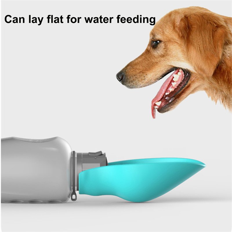 800ml Dogs Water Bottle Portable High Capacity Leakproof Pet Foldable Drinking Bowl Golden Retriever Outdoor Walking Supplies Pet Products - 5
