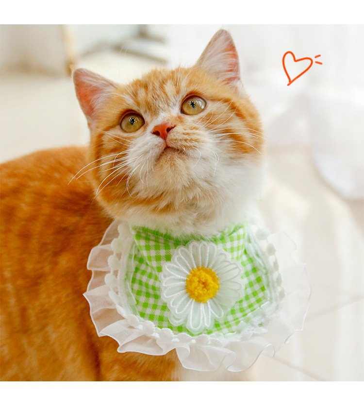 Fashion Voile Pet’s Saliva Towel - 9