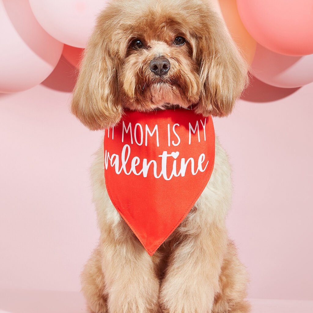 Pet Dog Printing Accessories Scarf Saliva Towel - 7