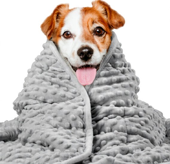 Pet Dog Washable Anxiety Thunder Blanket - 3