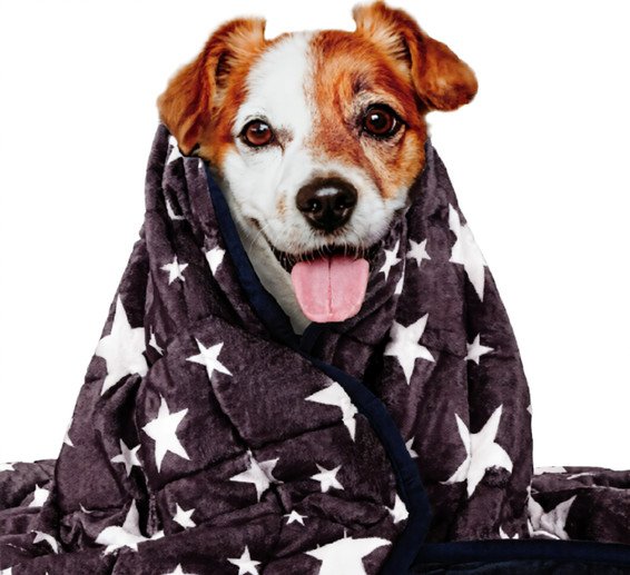 Pet Dog Washable Anxiety Thunder Blanket - 4