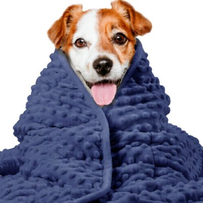 Pet Dog Washable Anxiety Thunder Blanket