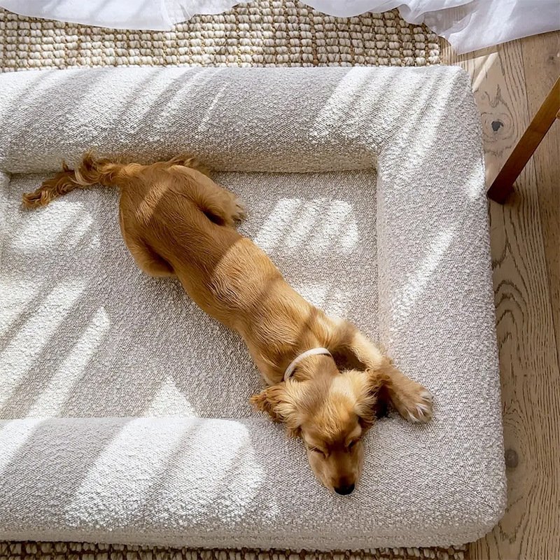 High-end Dog Bed With Memory Foam Waterproof And Removable For Washing - 2