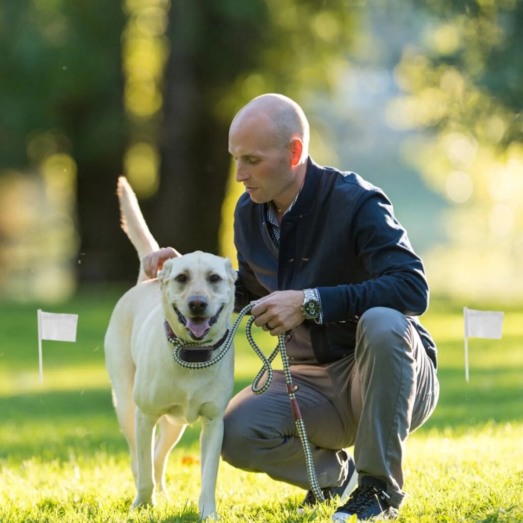 Electric Dog Fence System Pet Tone Shock Boundary Containment Water Resistant Collar Receiver For Small Medium Large Dog - 5