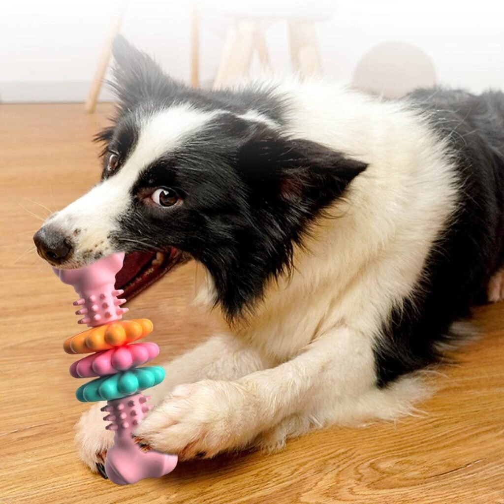 Dog Chew Toy Dog Bone Type Dogs Teeth Cleaning Toys Indestructible TPR Bone Chewing Bite Resistant Teething Toys Pet Products - 4