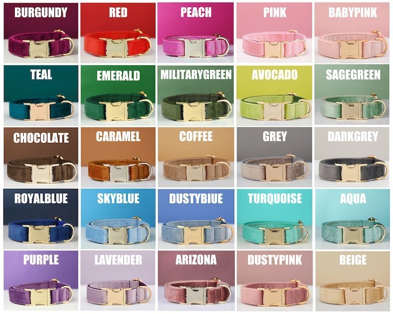 Multiple Colour Velvet Personalise Dog Collar Leash Set With Bow - 5