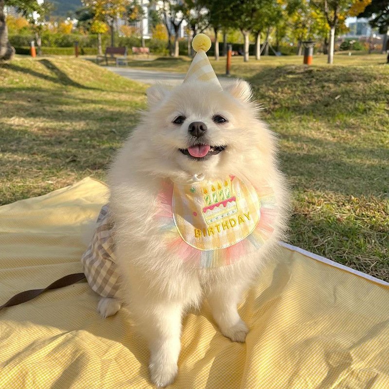 Dog Party Cake Bib Pet Birthday Saliva Towel - 6