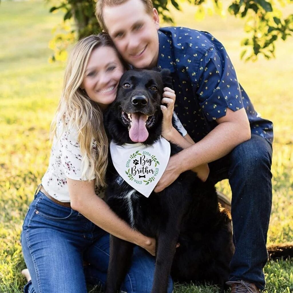 Wedding Pet Dog Triangular Binder