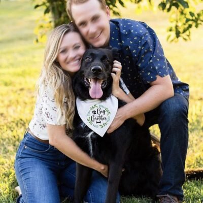 Wedding Pet Dog Triangular Binder