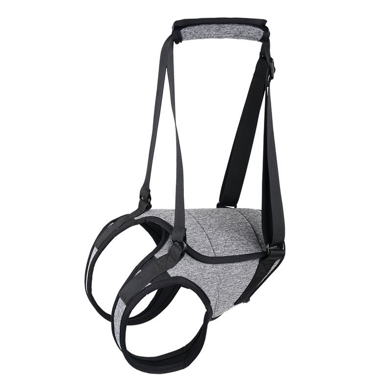 Elderly Dog Outing Back-style Auxiliary Strap - 2