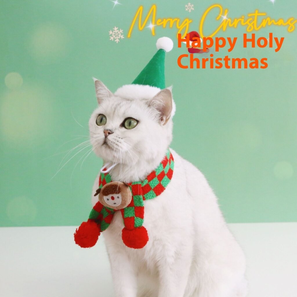 Pet Cat Dog Knitted Wool Plaid Snowflake Santa Claus Scarf Warm Christmas Three-dimensional Hat - 5